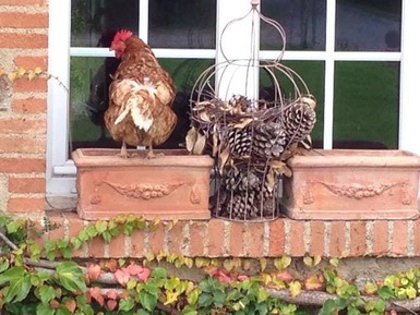 14627773_10210505728858519_1381514744_n