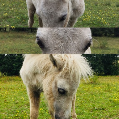 61A6B654-F385-41F8-A879-17BB16CE8579