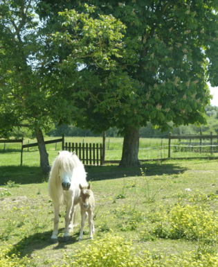 Capture d’écran 2021-12-22 à 11.27.36