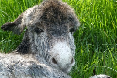 la vie est Belle !!!