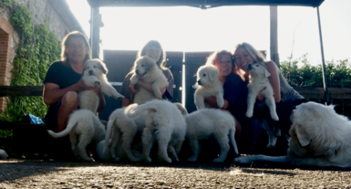 Molly nous a comblés avec 11 bébés !!!
